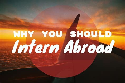 intern abroad hq reviews reddit